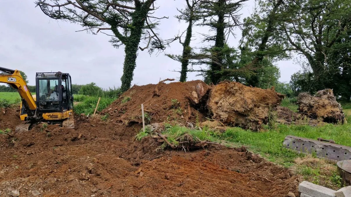 Free Backfill - Image 1