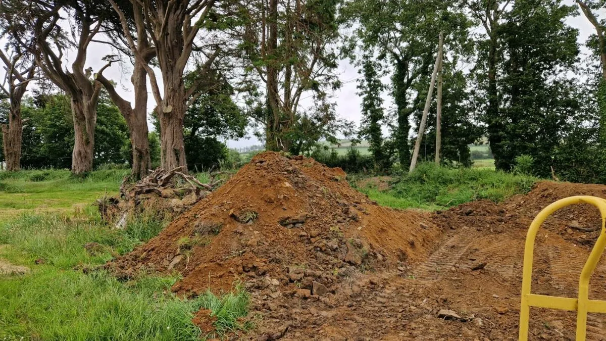 Free Backfill - Image 2