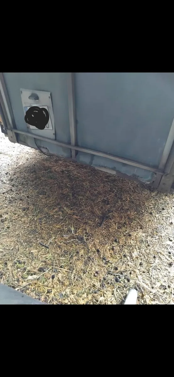 505 iforwilliam trailer - Image 3