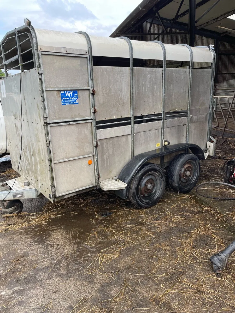Cattle Trailor - Image 1