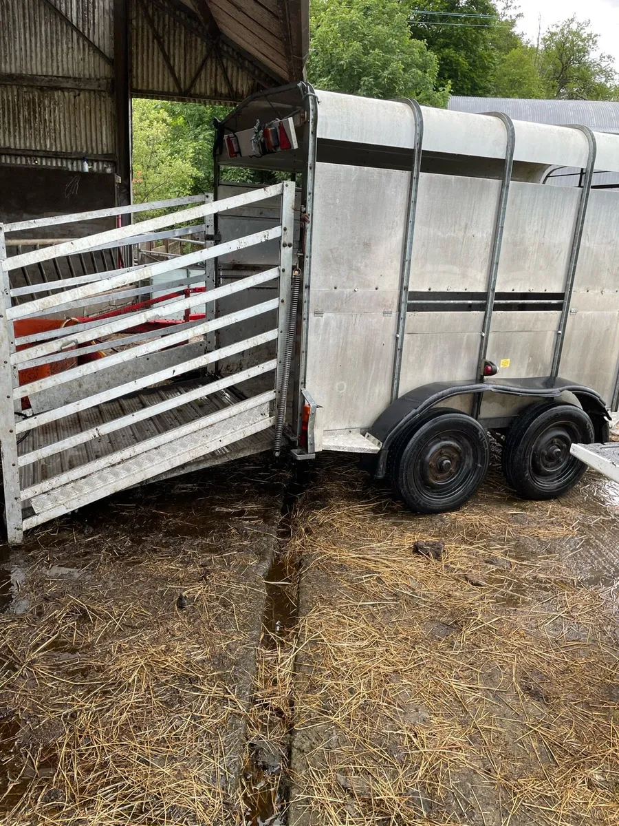 Cattle Trailor - Image 2