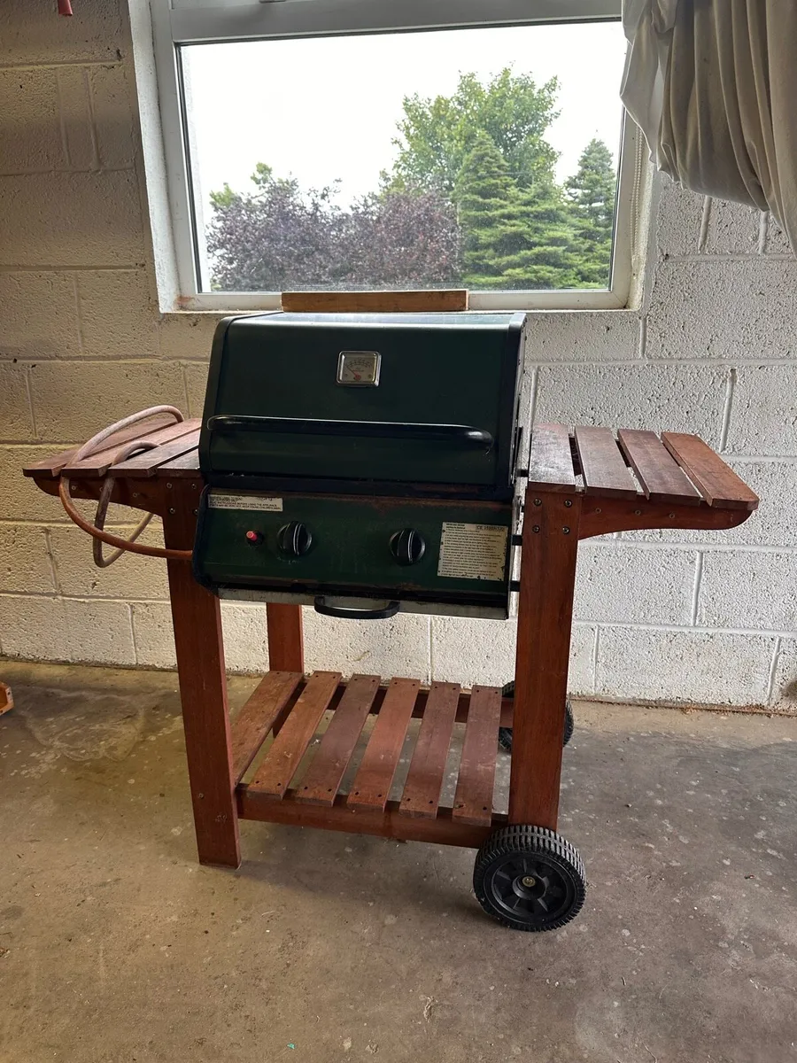 Gas BBQ 2 burner - Image 2