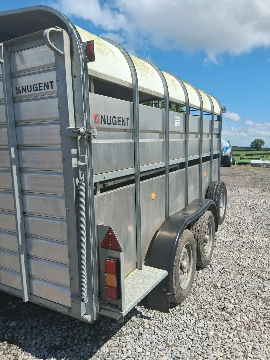 Nugent 12x6 Cattle Trailer - Image 2