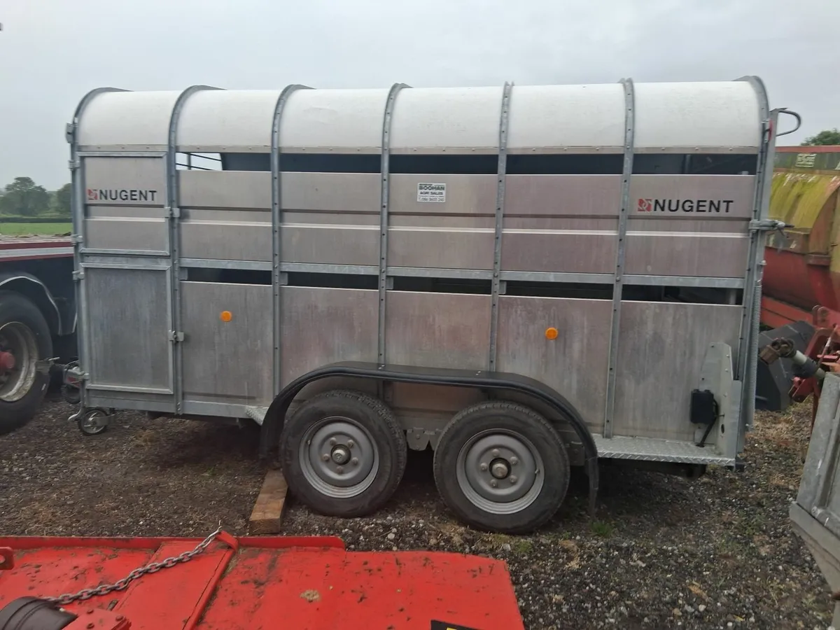 Nugent 12x6 Cattle Trailer - Image 3