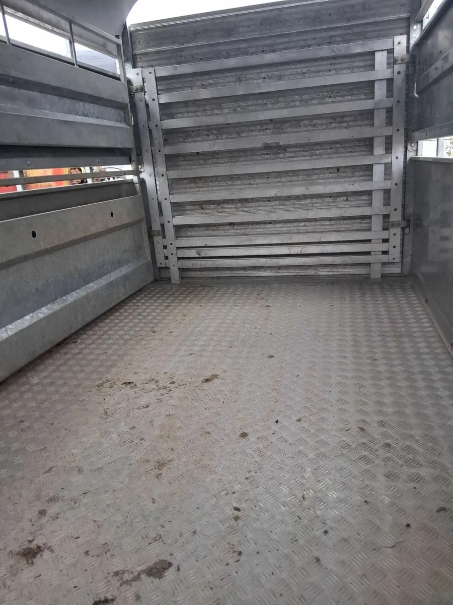 Nugent 12x6 Cattle Trailer - Image 4