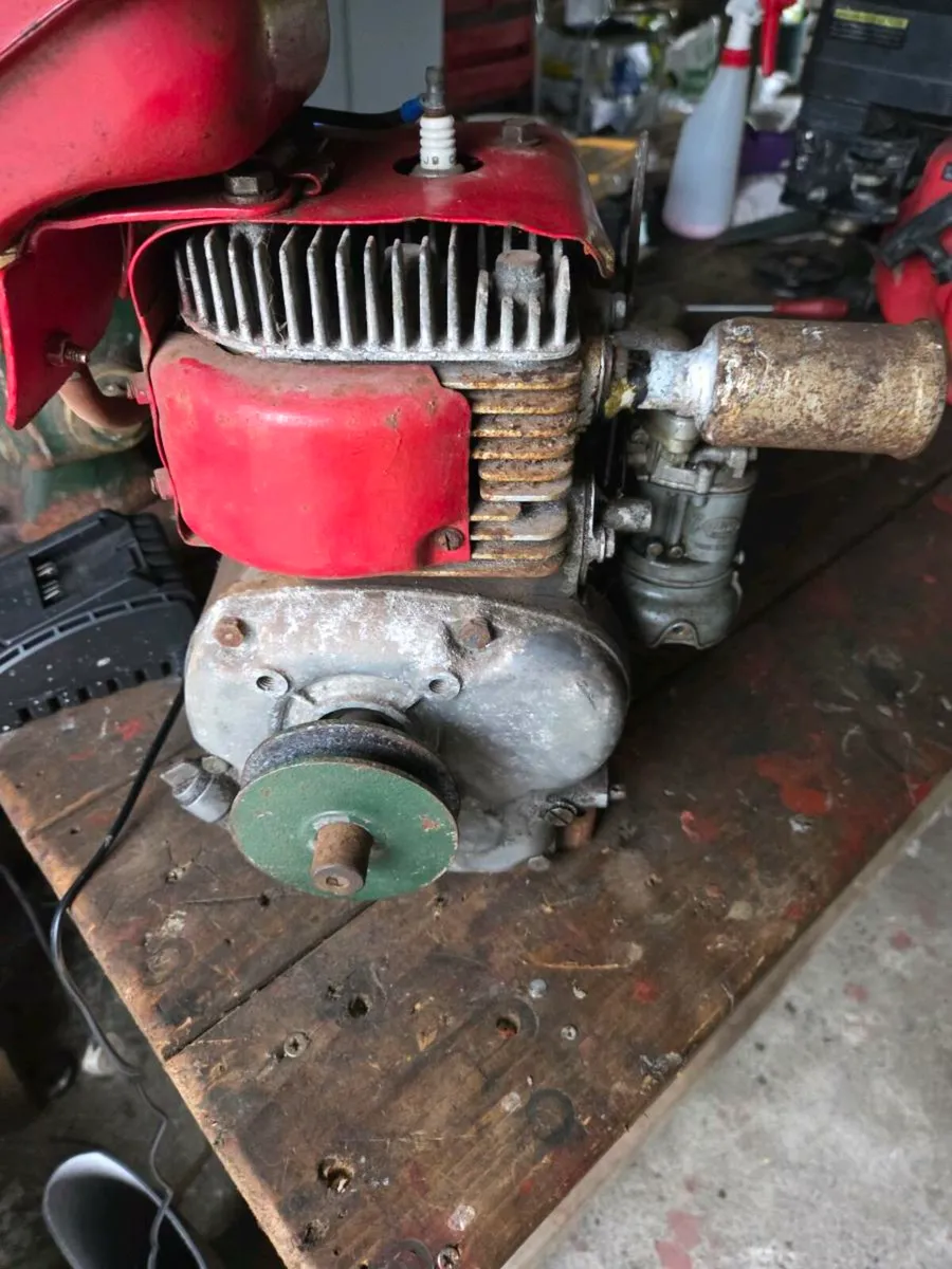 Vintage  water pumps - Image 1