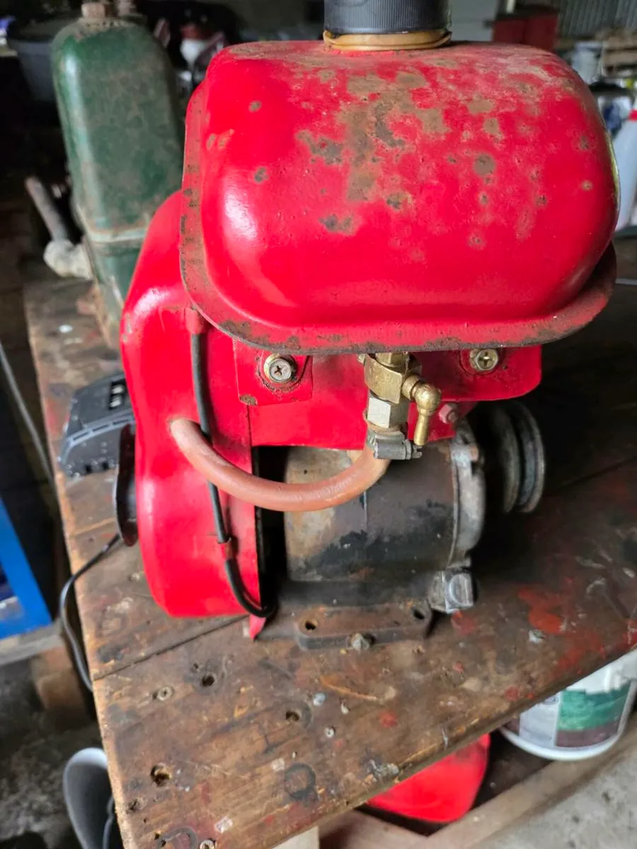 Vintage  water pumps - Image 2