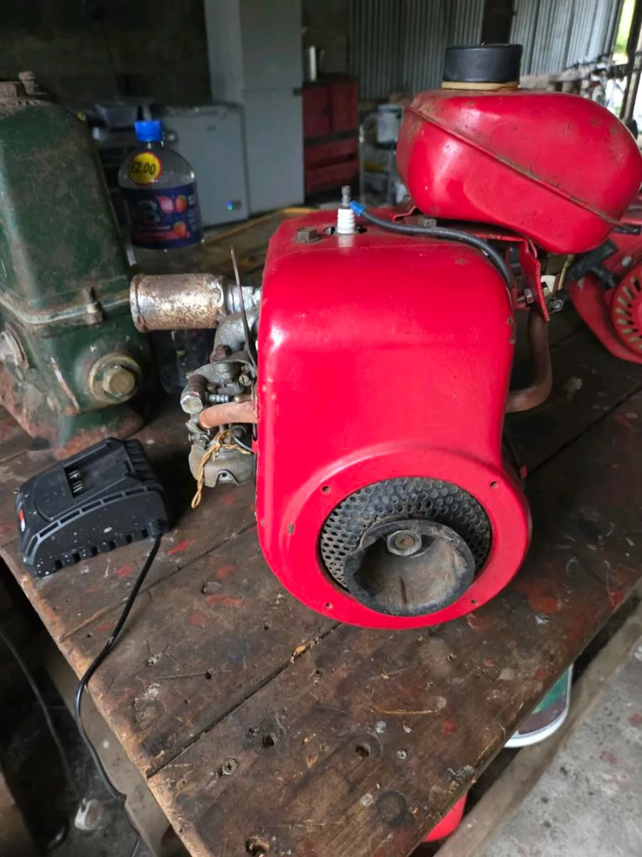 Vintage  water pumps - Image 3
