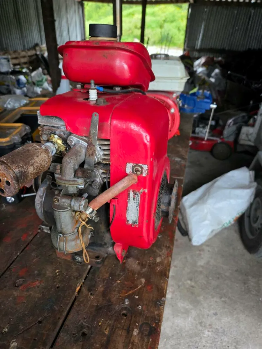 Vintage  water pumps - Image 4