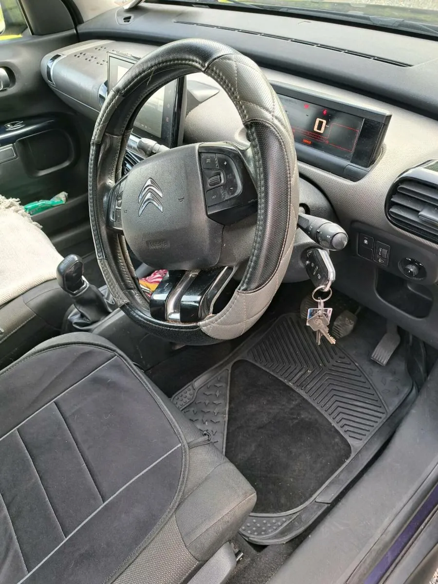 Citroen C4 Cactus - Image 2
