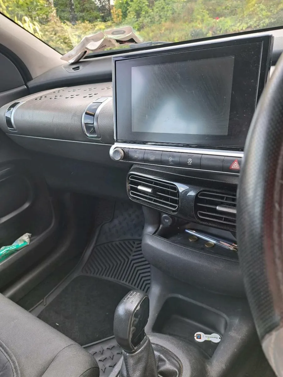 Citroen C4 Cactus - Image 4