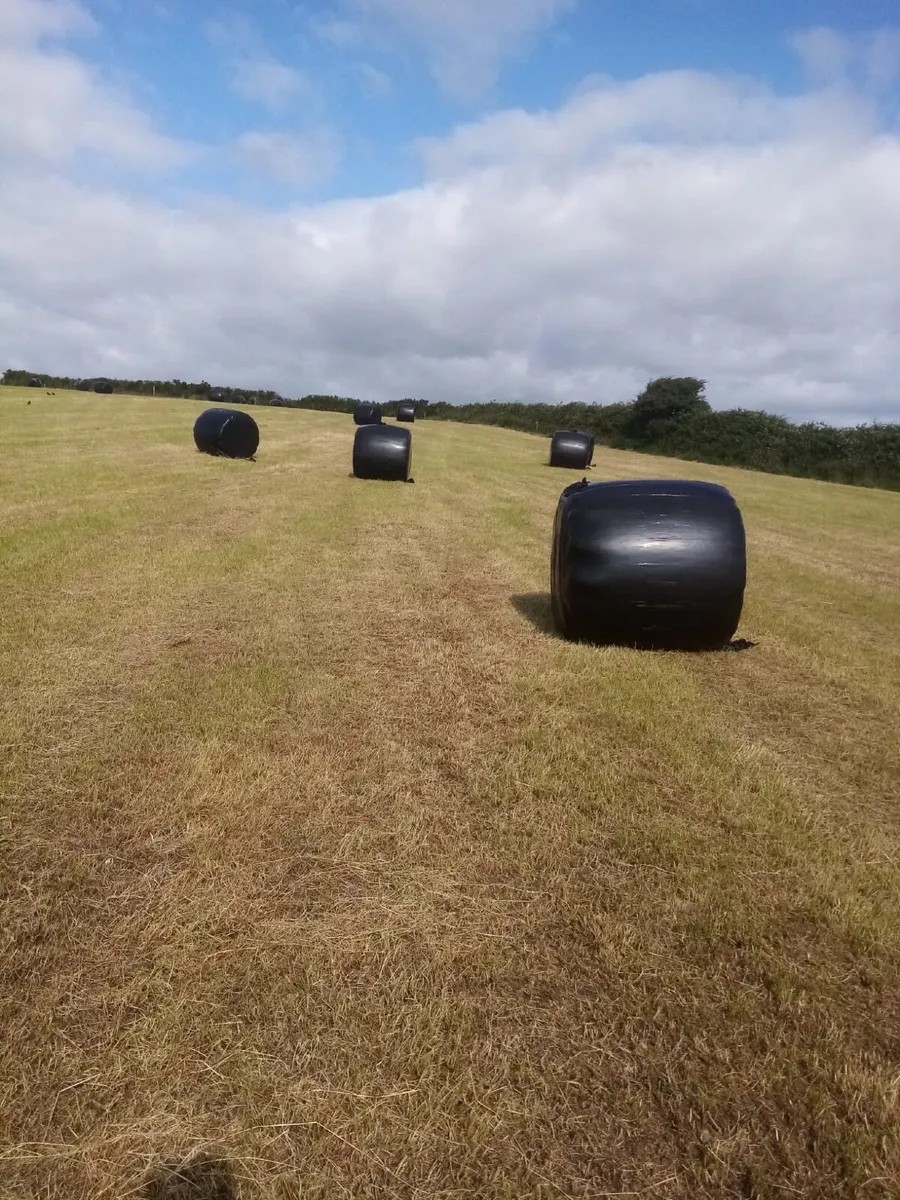 Haylage - Image 1