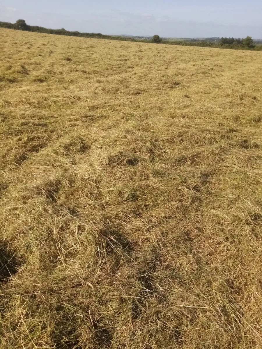 Haylage - Image 2