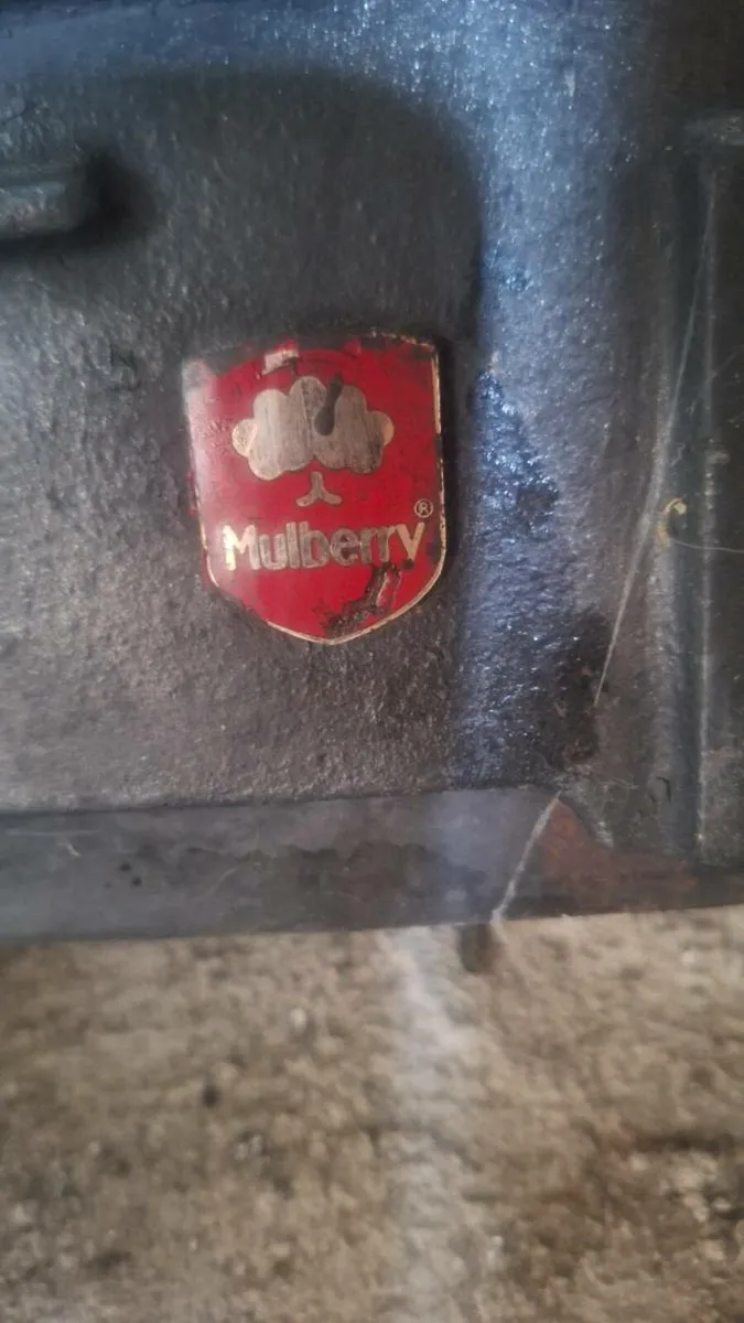 Mulberry  solid fuel fire front - Image 2