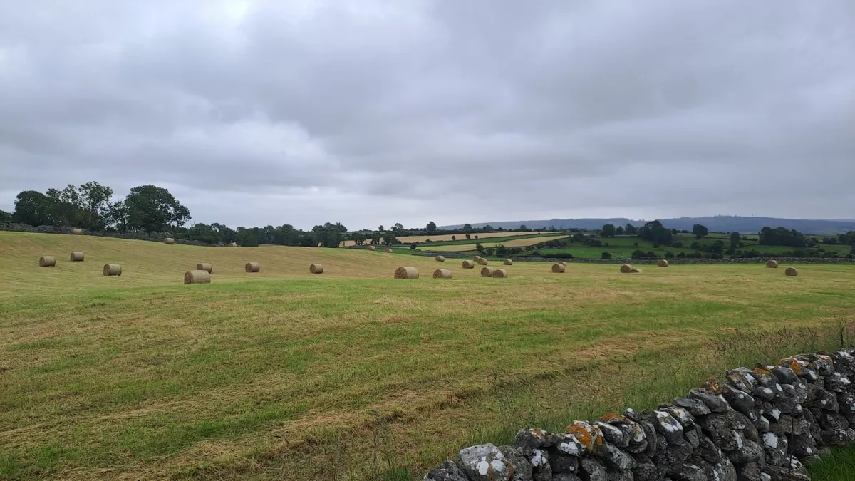 Round Bales of Hay for sale  Kilchreest/Craughwell - Image 1