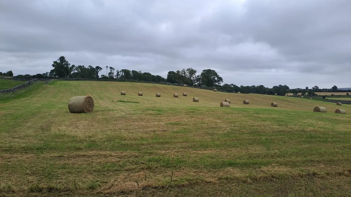 Round Bales of Hay for sale  Kilchreest/Craughwell - Image 2