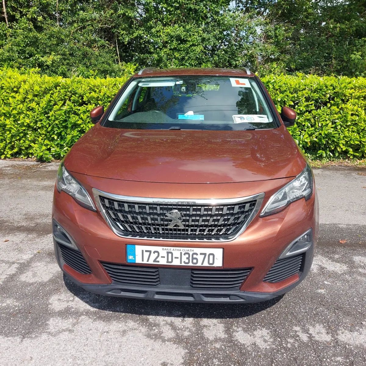 Peugeot 3008 - Image 1