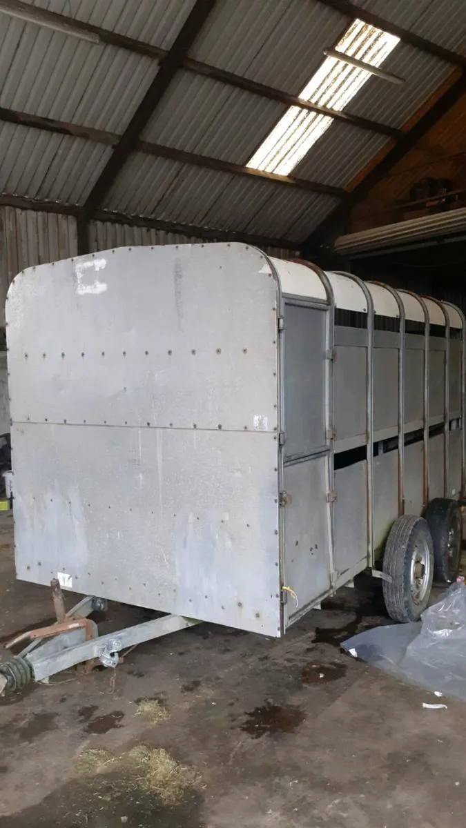 Ifor Williams cattle trailer - Image 2