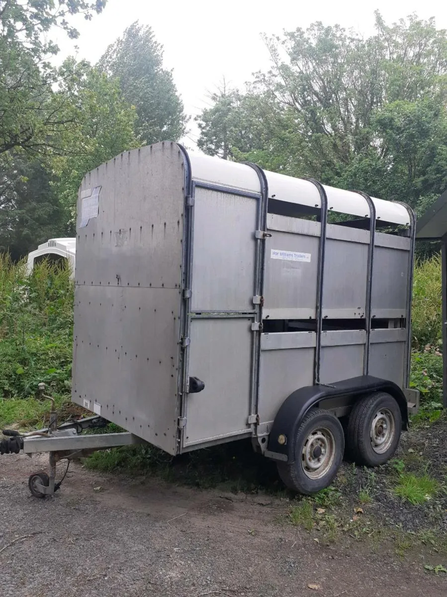 Ifor Williams cattle trailer - Image 1