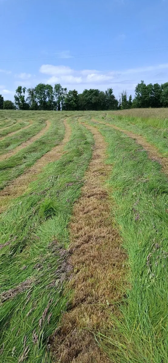 Haylage - Image 4