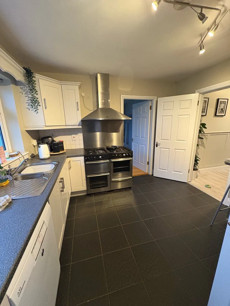 Kitchen cabinets - Image 2