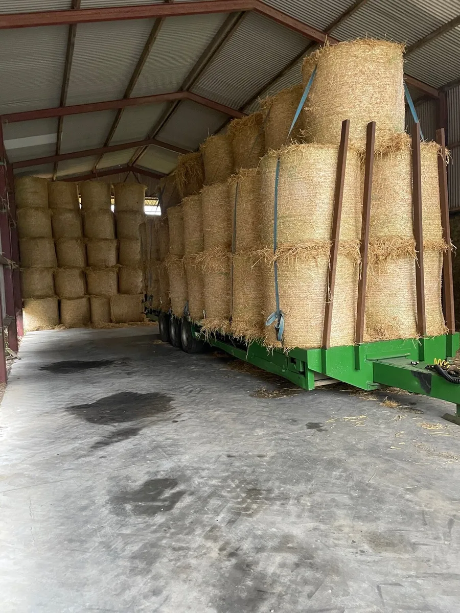 Barley straw