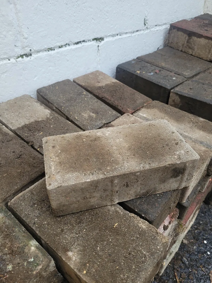 Paving bricks, used. For free - Image 1