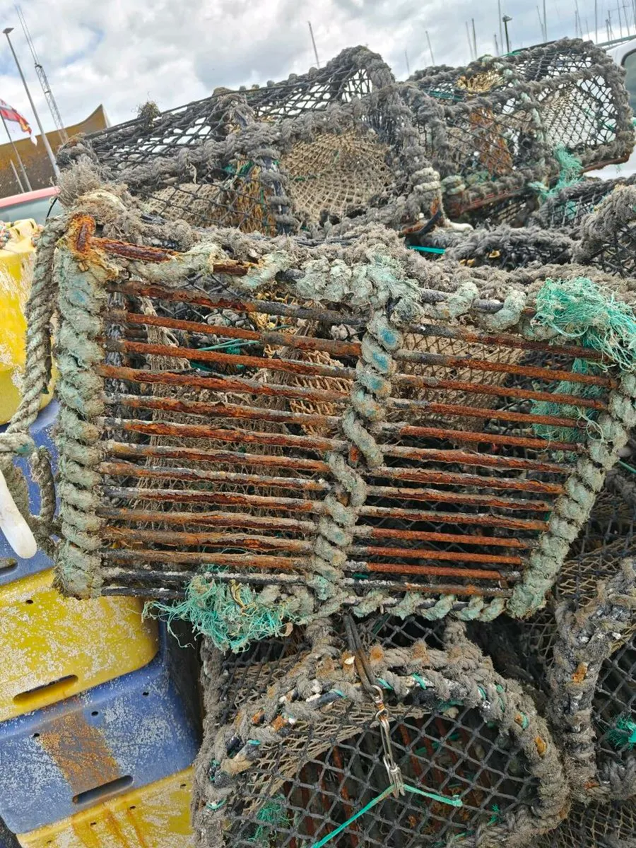 Lobster pots - Image 1