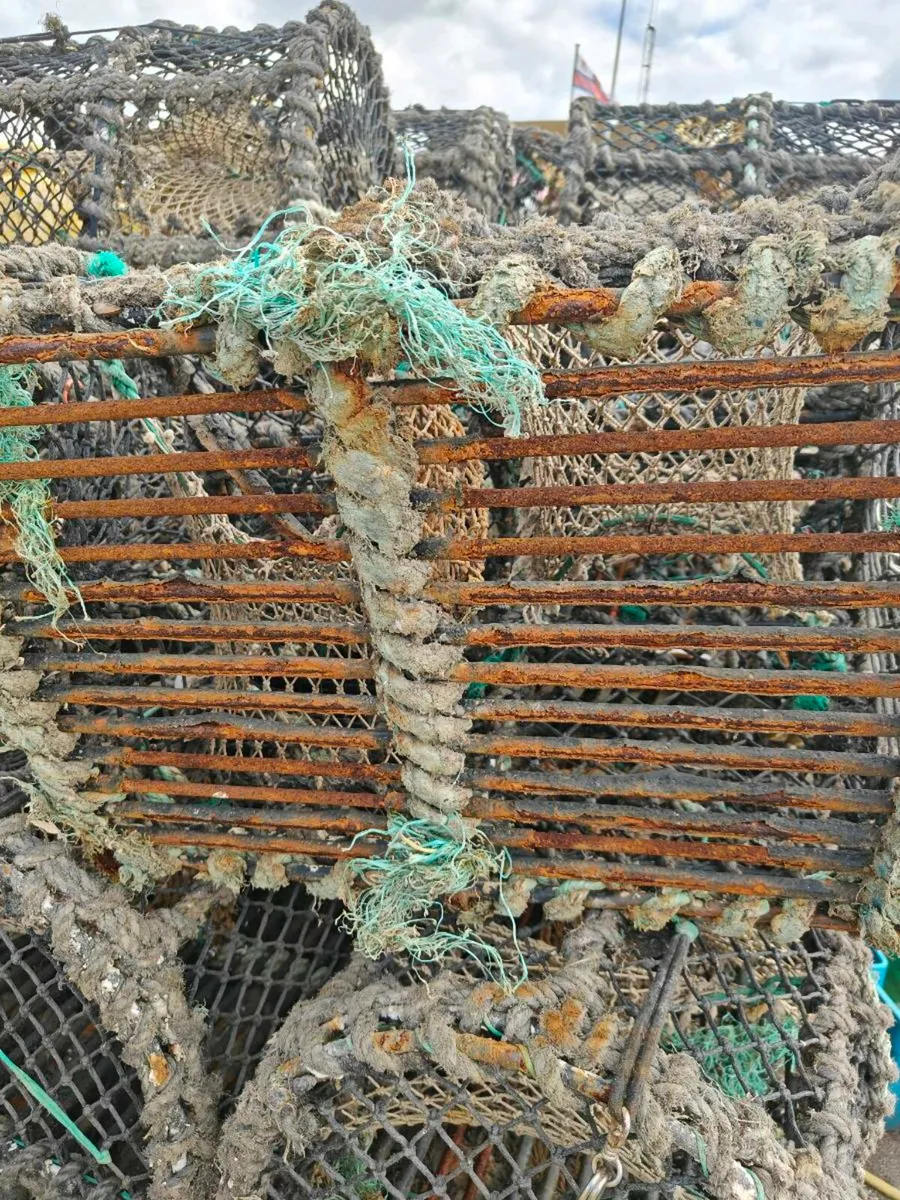 Lobster pots - Image 2