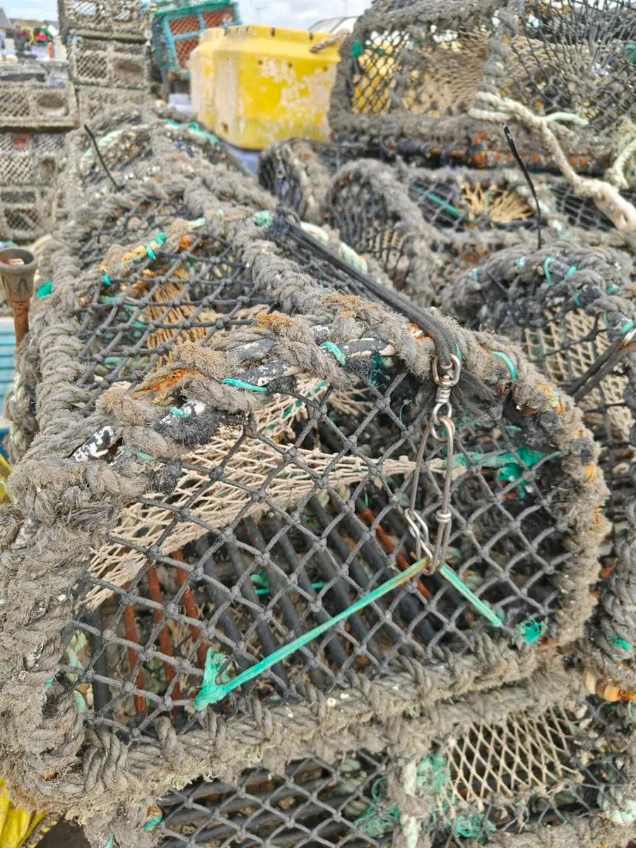 Lobster pots - Image 3