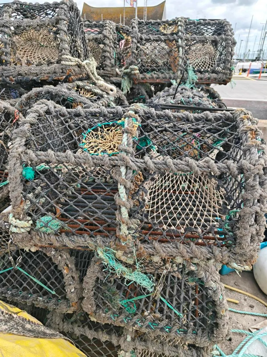 Lobster pots - Image 4