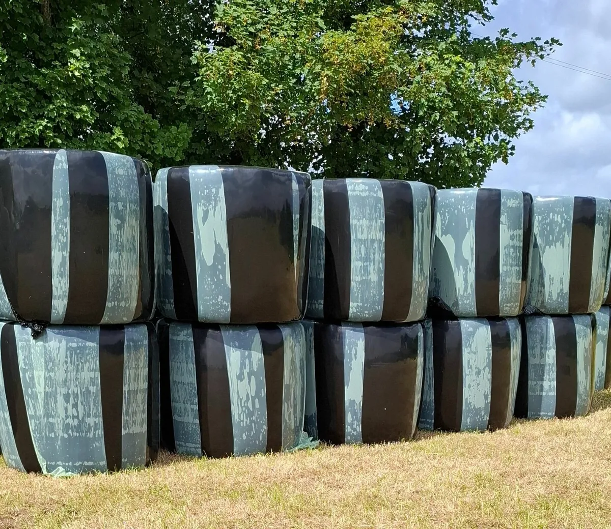 Haylage - Image 1