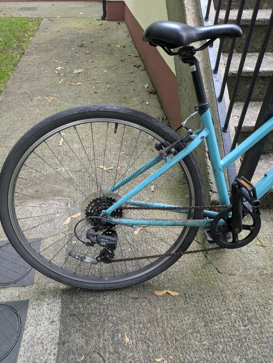 Blue Ridgeback Comet - Adult Bike - Image 2