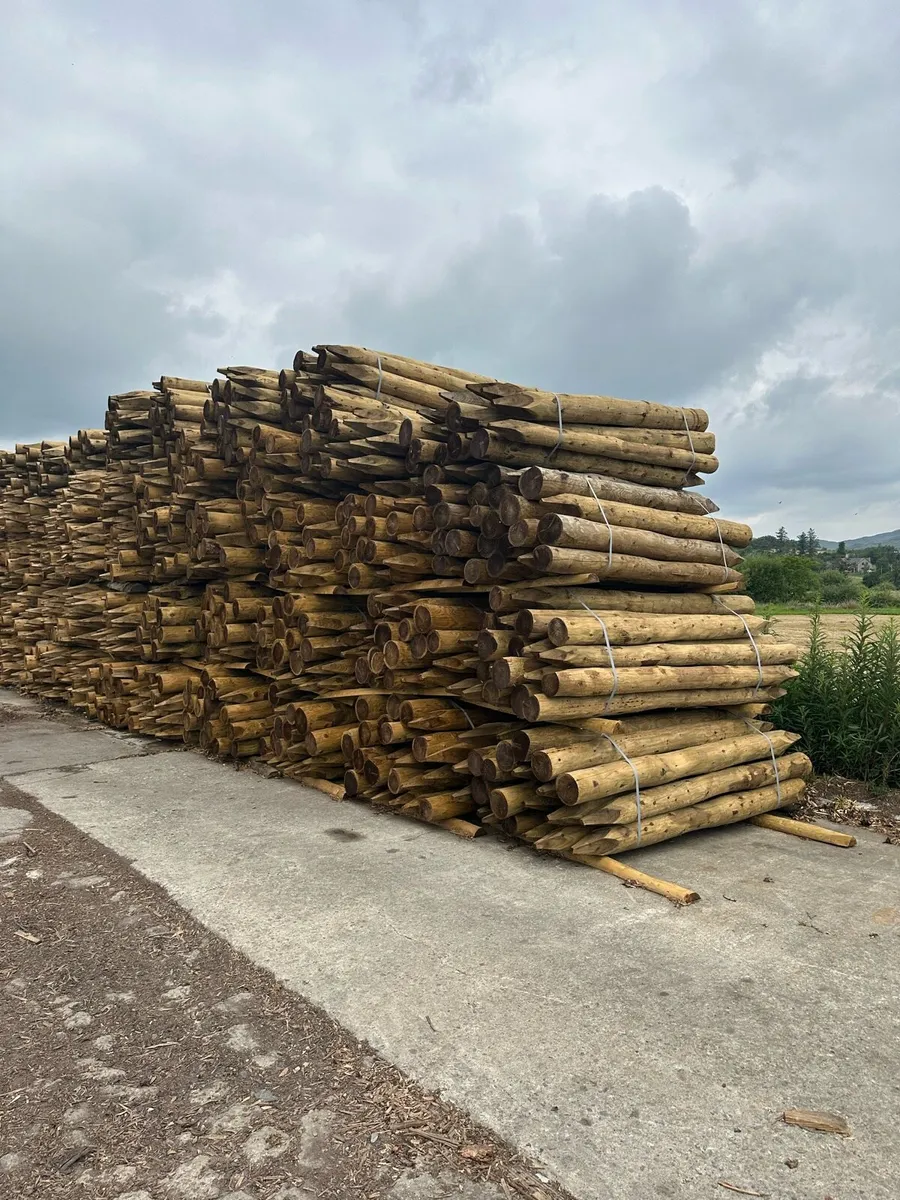 Fencing post for sale - Image 1