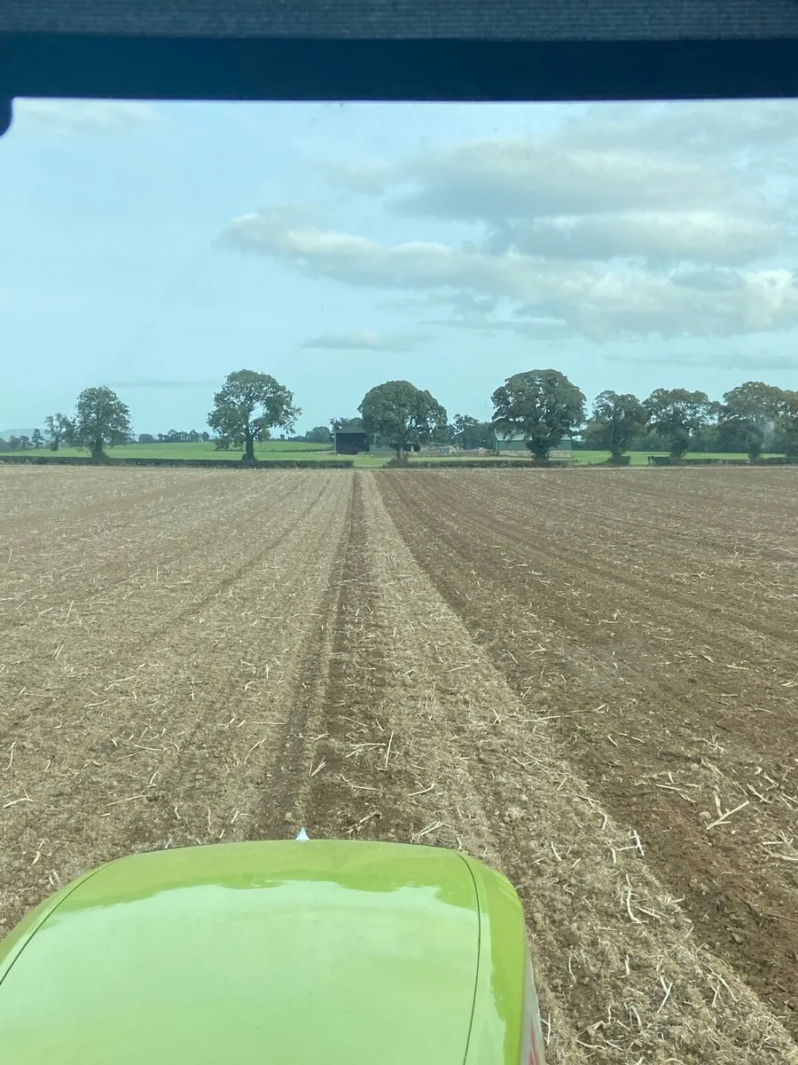 Contract sowing / drilling cover crops cereals - Image 2