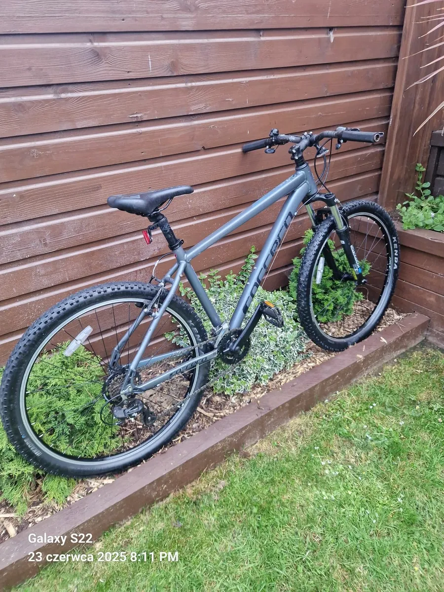 Bike - Image 1