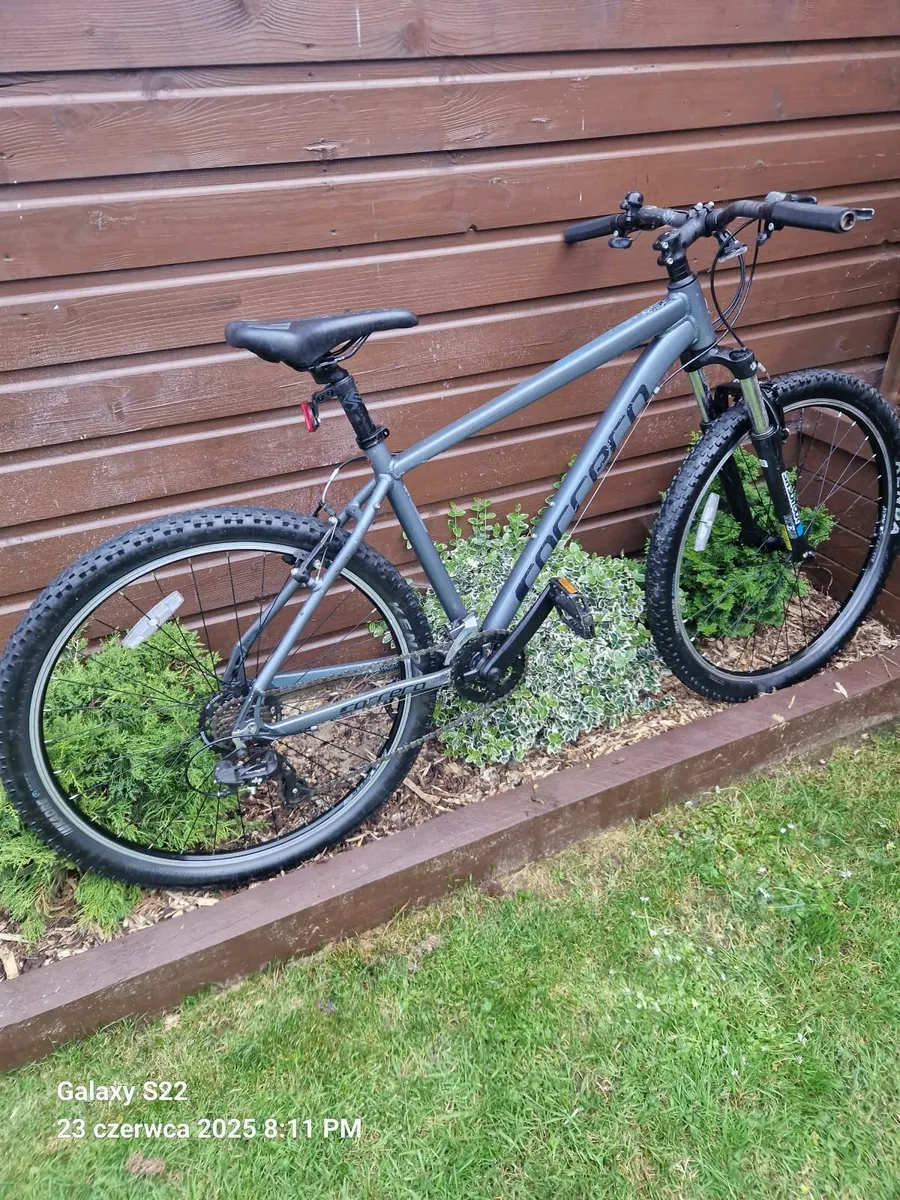 Bike - Image 2