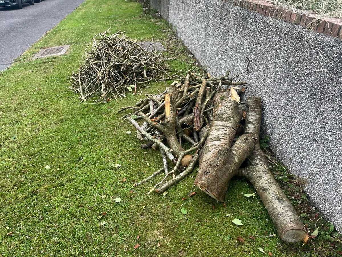 Fire wood & kindling - Image 1