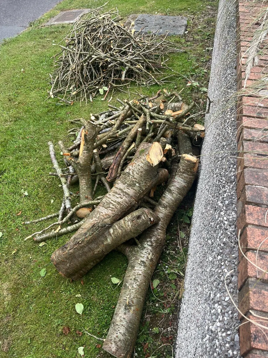 Fire wood & kindling - Image 2