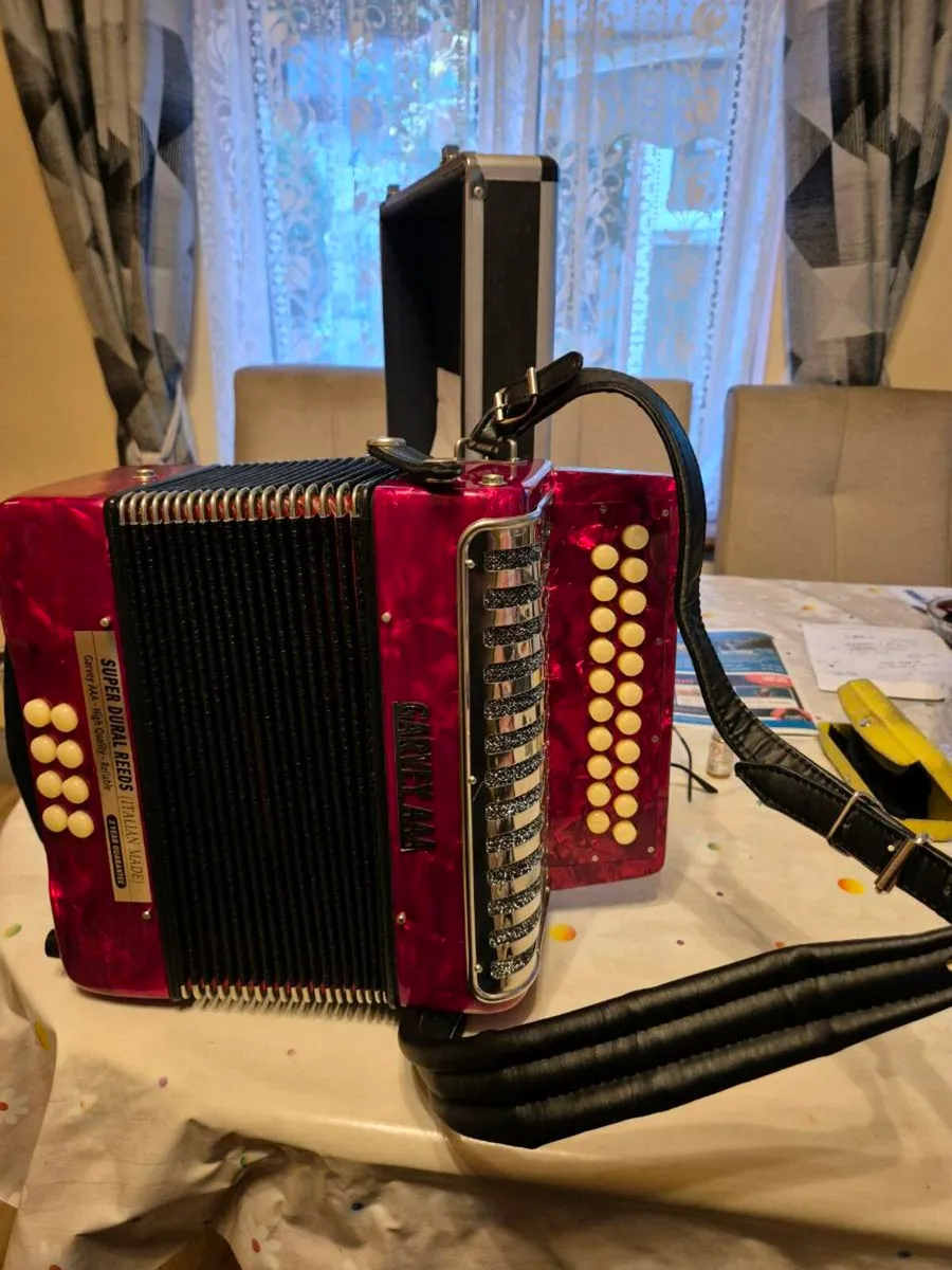 Accordian  and Guitar - Image 2