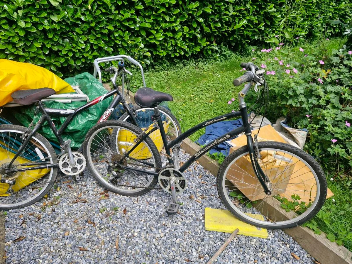 Bicycles - Image 1