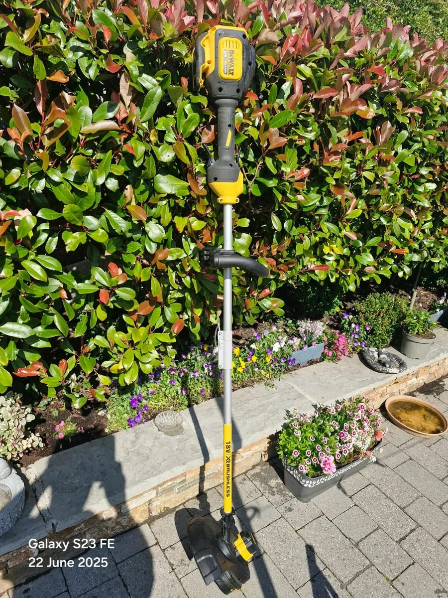Dewalt  strimmer - Image 2