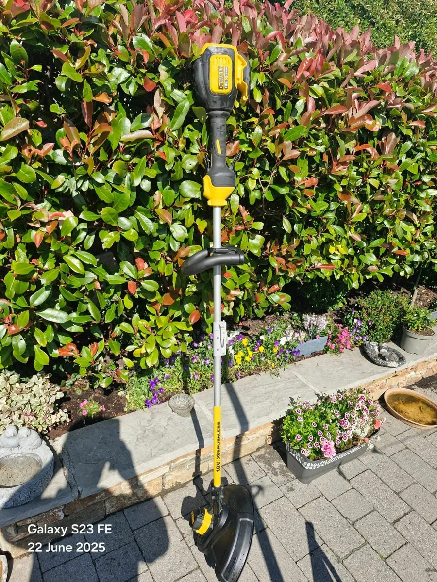 Dewalt  strimmer - Image 3
