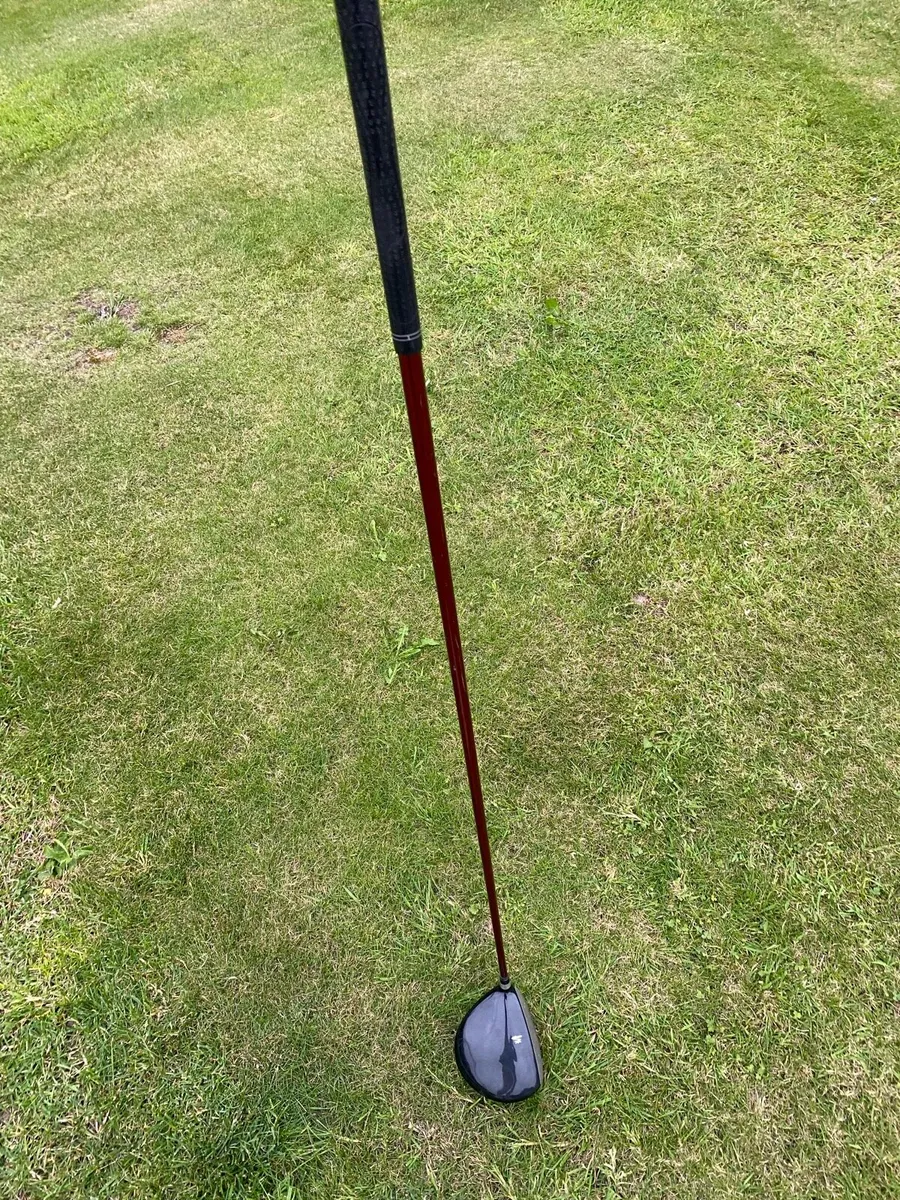 King cobra driver - Image 2