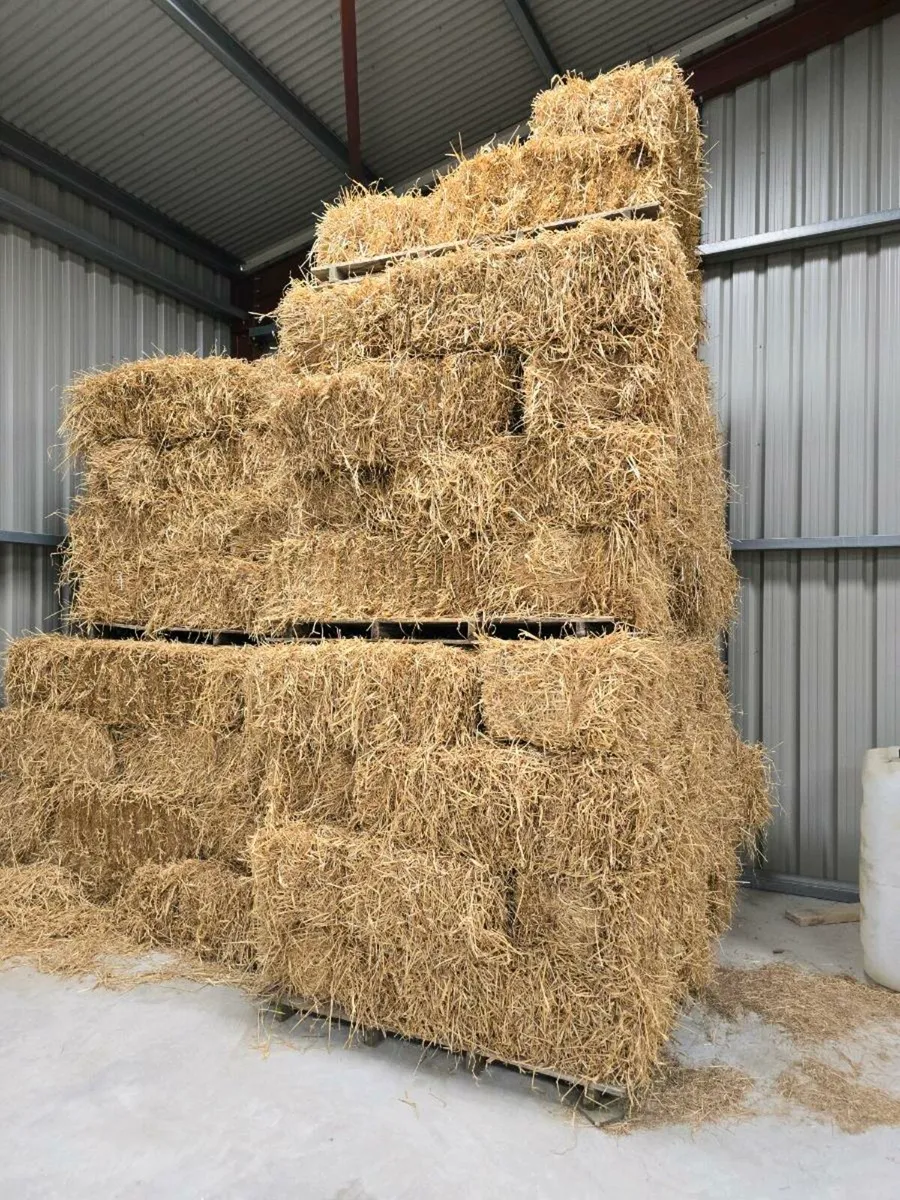 Small square bales straw
