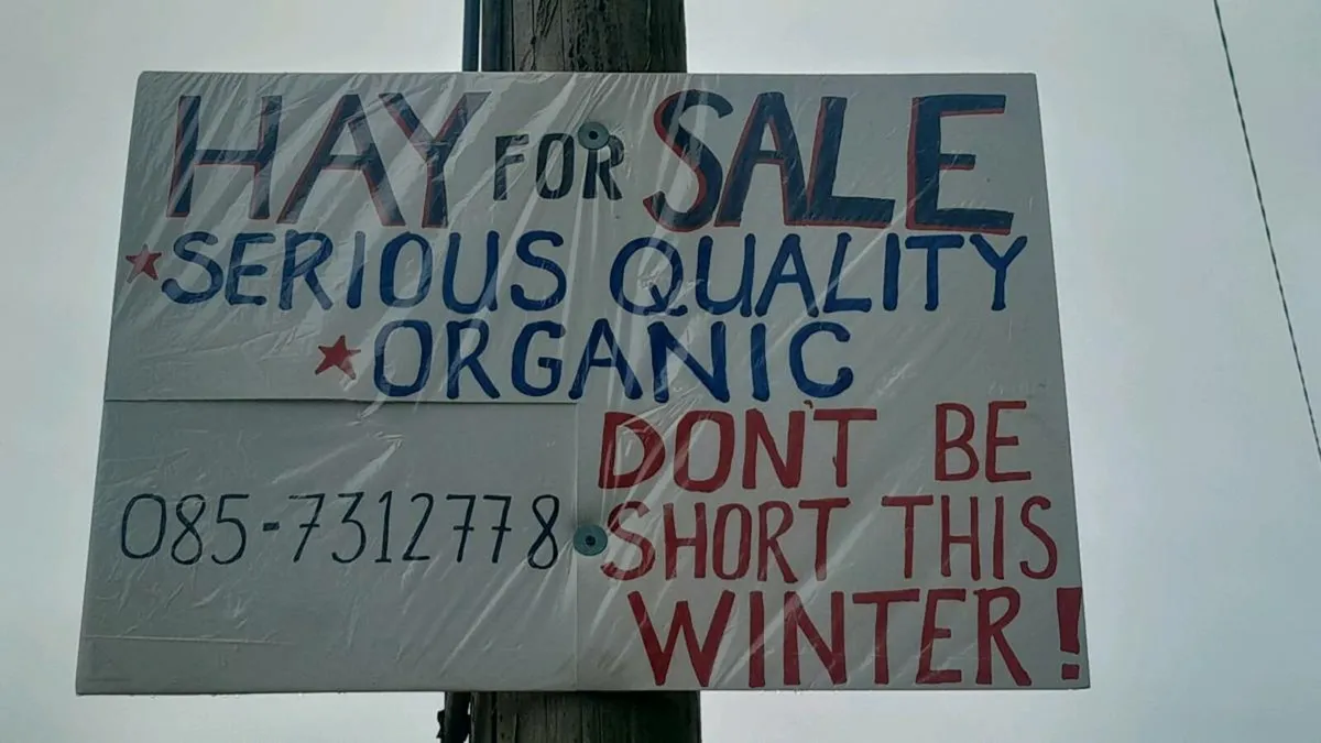 Top quality Hay - Image 1