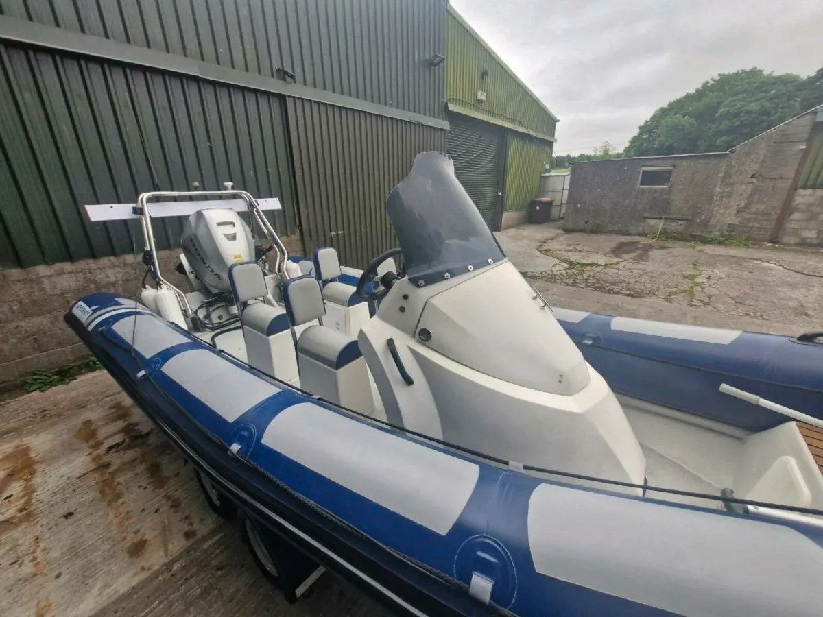 Rib - Image 4