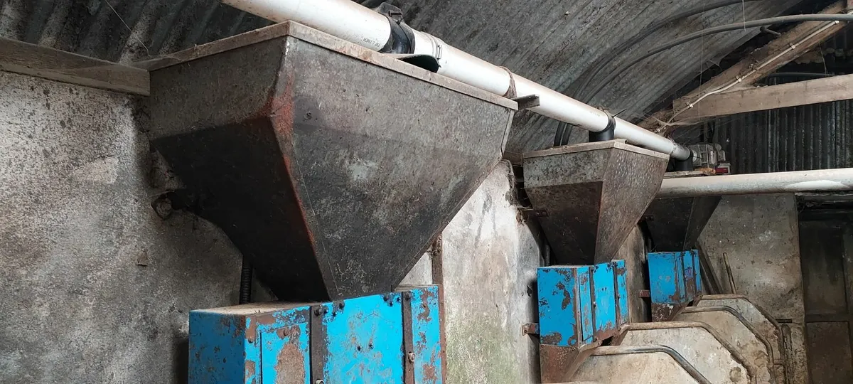 cashman feeders for sale - Image 1