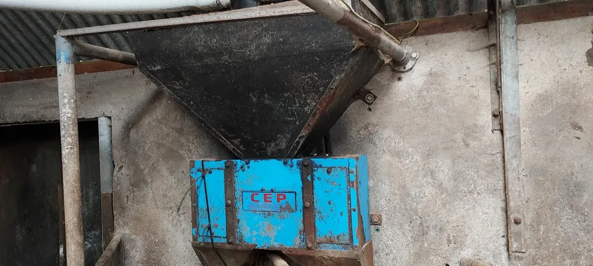 cashman feeders for sale - Image 2
