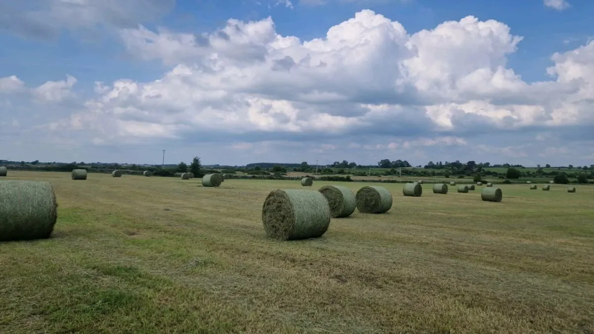 Round bales of Hay - Image 2